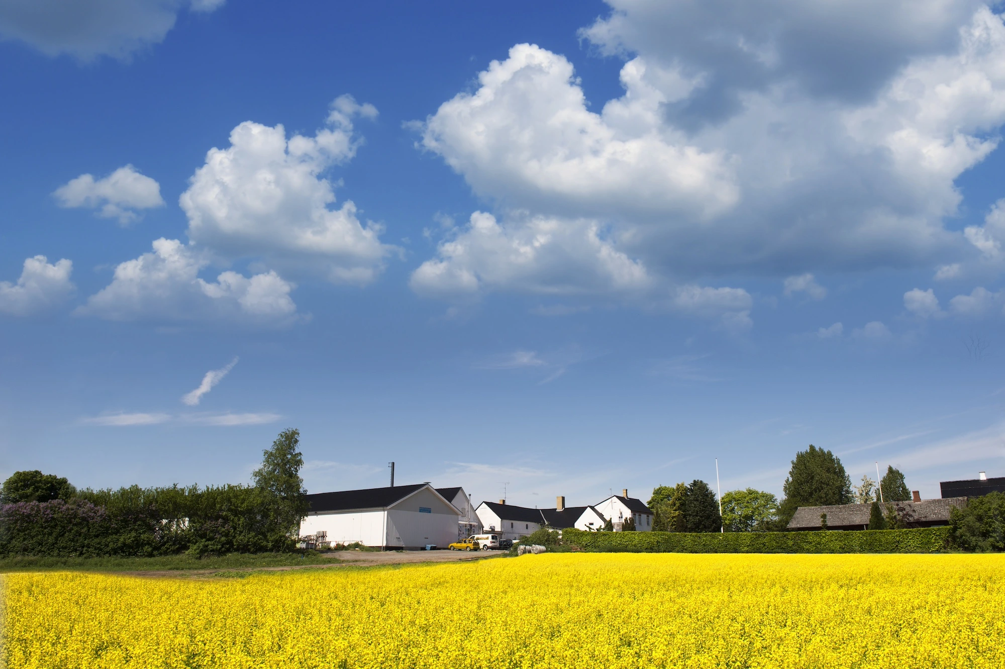 bryggeri fyn og en gul rasp mark